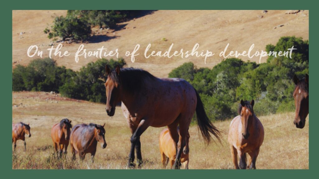 Chigi Leadership Featured Globally: On the Frontier of Leadership Development with TeachingHorse