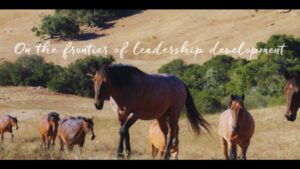 Chigi Leadership Featured Globally: On the Frontier of Leadership Development with TeachingHorse